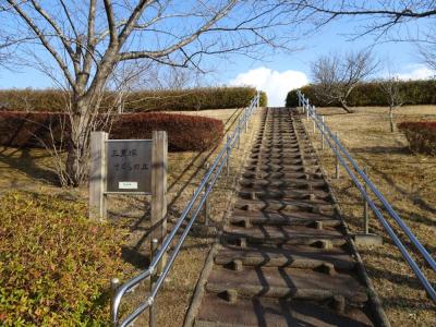 三里塚さくらの丘