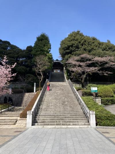 街の中心の神社