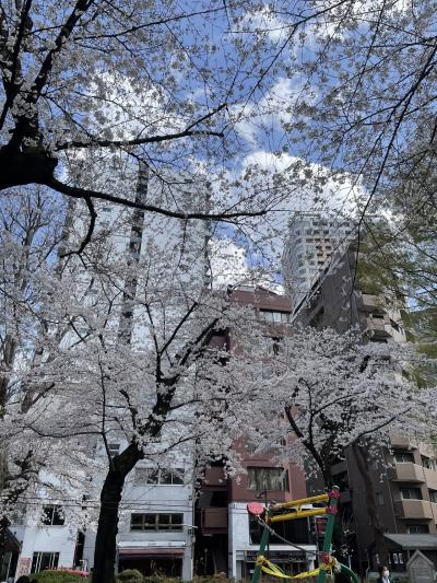 よく行く公園