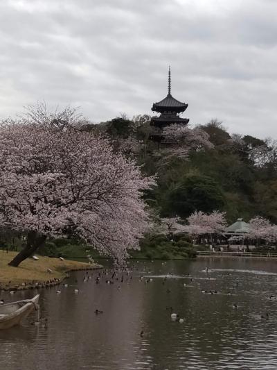 横浜が誇る名勝庭園