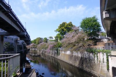 神田川の目の前に