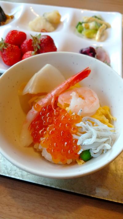 きれいで清潔なホテル