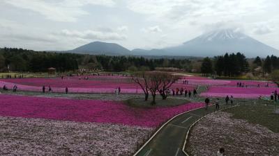 富士山とのコラボが圧巻