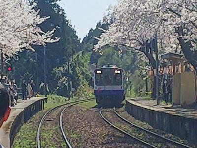 さくらとローカル列車　能登さくら駅