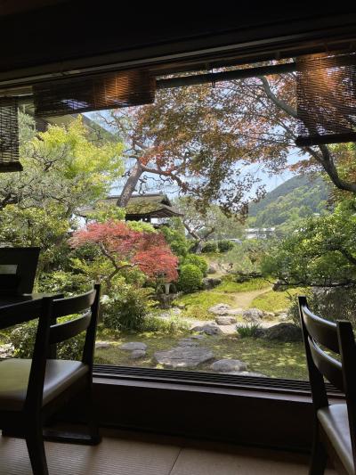 豆腐料理 松ヶ枝