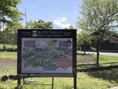 道の駅朝霧高原に隣接しています