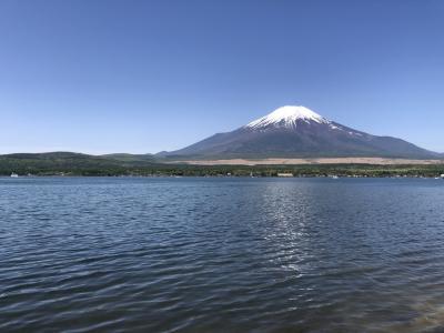 山中湖越しの雄大な富士山が見られます