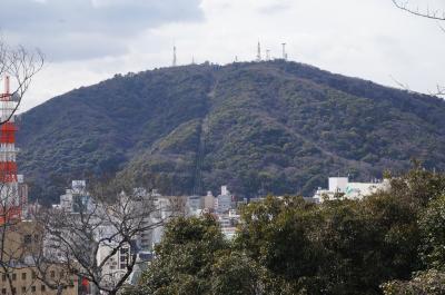 徳島中央公園の中心