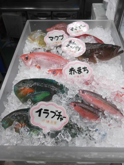 カラフルな魚と大きな豚顔のディスプレイ