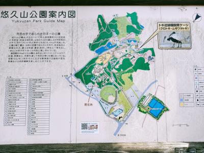 悠久山公園