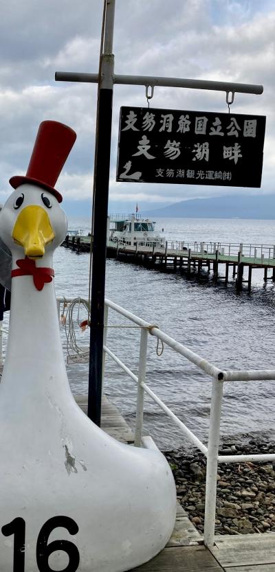 湖底にいる魚を楽しめます。