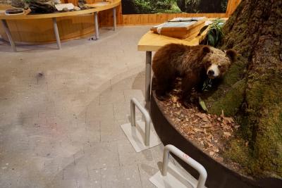 支笏湖周辺の動物について知れる！