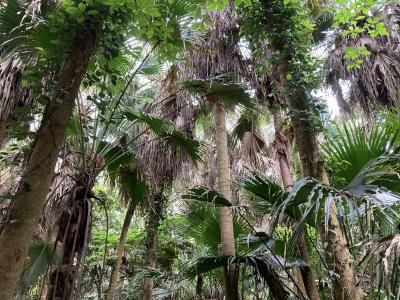島ごと神社になっている神聖な場所