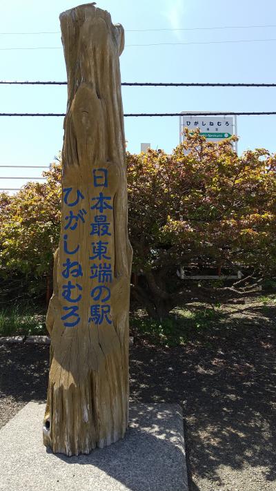 この駅だと入場券は手に入らないのも納得ですね。入場し放題！