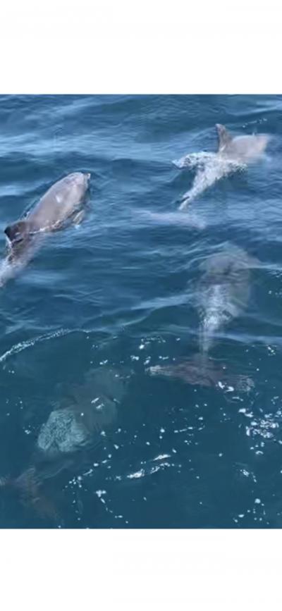 こんなに近くで見れるなんて