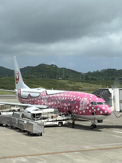 初、石垣島　ジンベイザメジェット