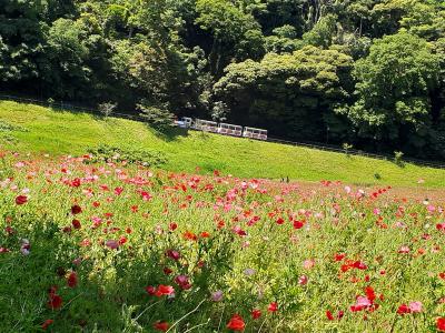 子どもが喜びそう