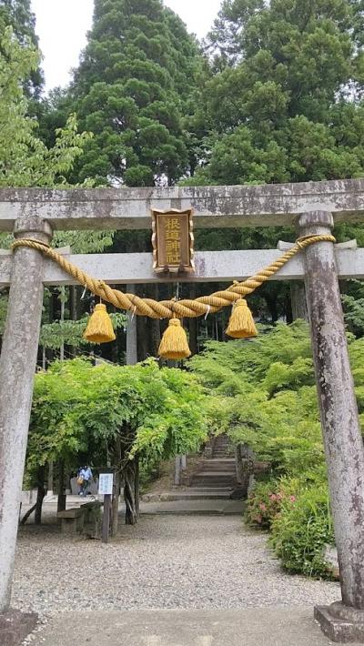 モネの池の隣にある根道神社
