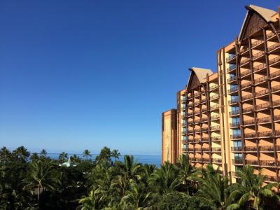 DVCメンバーです