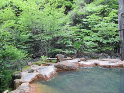 滝沢温泉 滝沢館