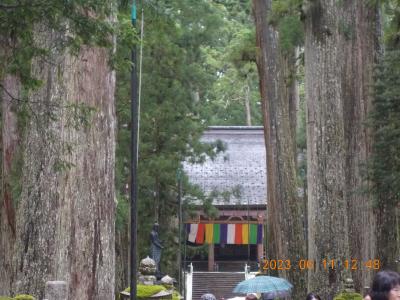 高野山奥の院　今でも「僧　空海」は生きている？