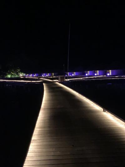 夜はWらしさを感じられます