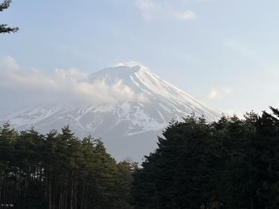 窓から見える富士山が絶景です！