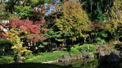 横浜スタジアムすぐそばの公園