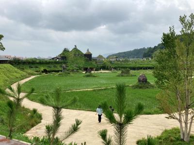 日本のようなアメリカの様なトトロの世界の様な