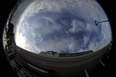 お茶を使った お土産がいっぱい