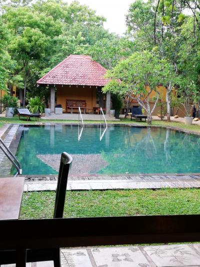 レストランからのプール