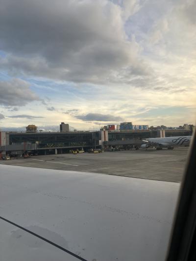 この楽さはやめられないかも？