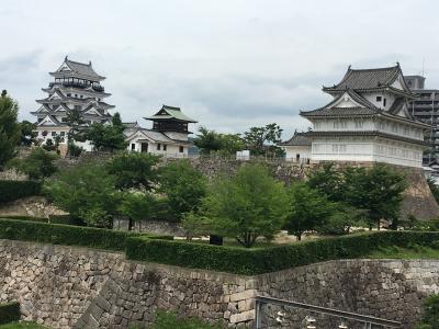 新幹線ホームから見れます！