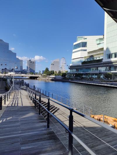 弁天橋や遊歩道から眺めもきれい