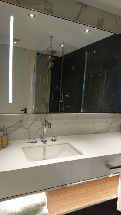 あっさりとしたウエットゾーン。シャワーのみ。