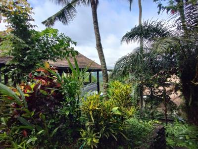 ハネムーン利用