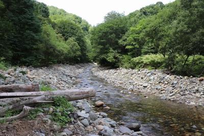 夏は暑さに注意