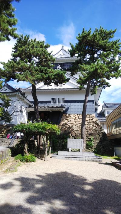 どうする家康で話題になっています。