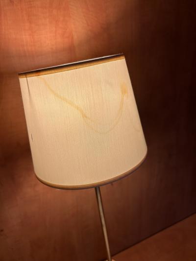 ランプシェードもシミだらけ