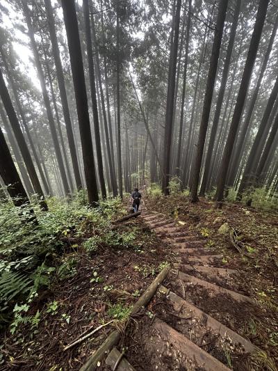 初心者　登山