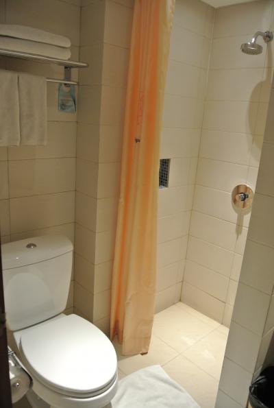 バスタブは無いが、シャワーカーテンがあって助かる