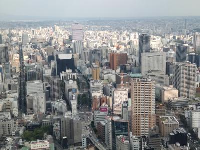 名古屋一の高層ビルで、展望を楽しみながら空中散歩　