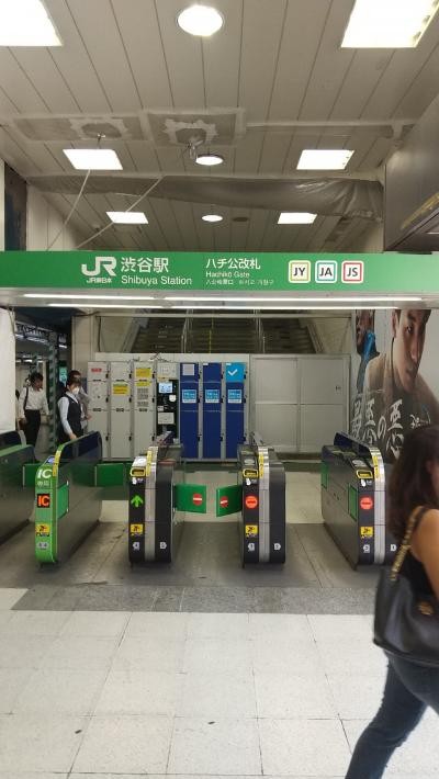 JR山手線&埼京線&湘南新宿ライン 渋谷駅