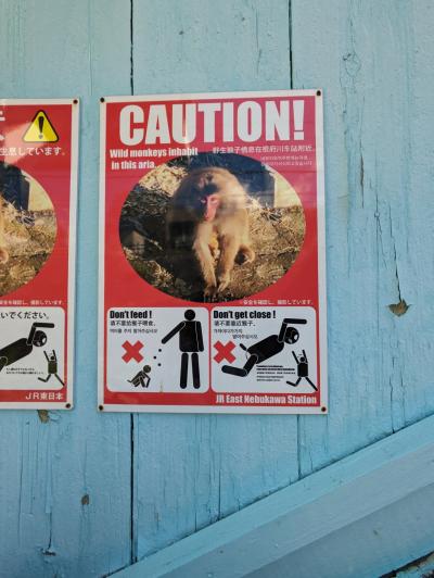 海を望む無人駅