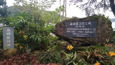 西郷松があった