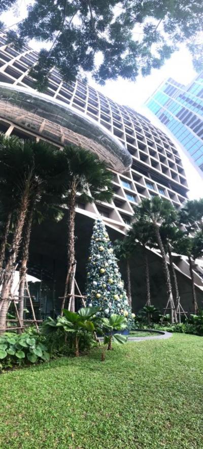 上にせりだしているのがプール