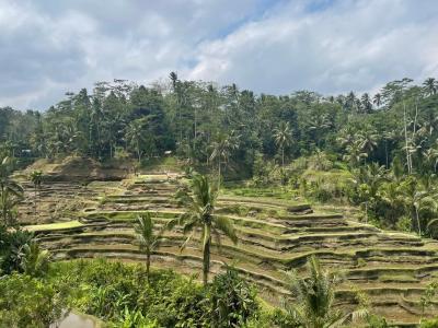 時期によってはもっと素敵だと思います