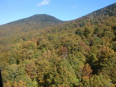 紅葉、平日でも混んでました