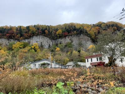 紅葉と柱状節理 素晴らしい