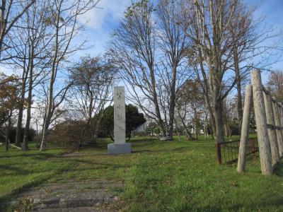 その名の通り港近くの公園